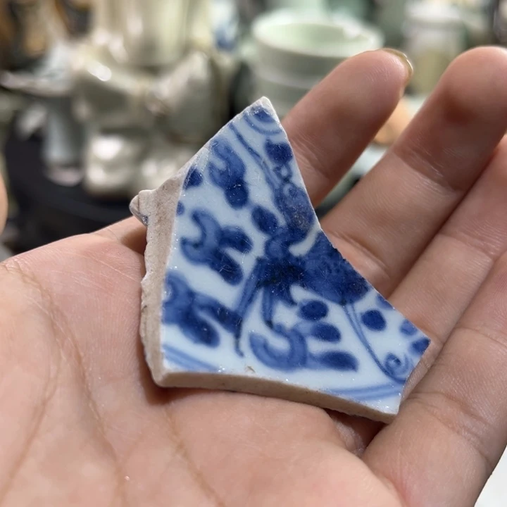瓷片瓷片学习标本84