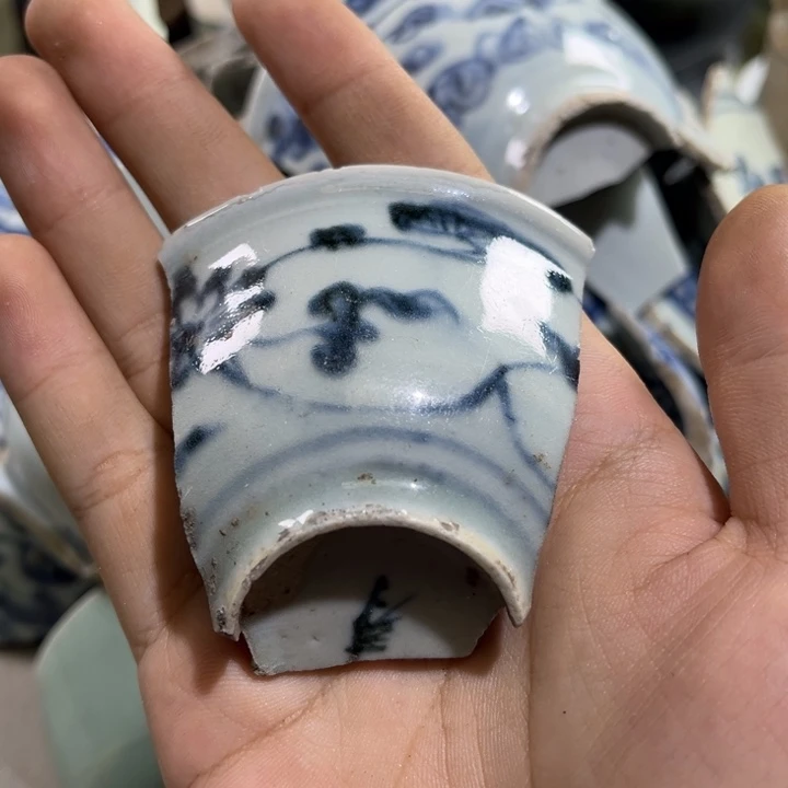 瓷片瓷片学习标本95