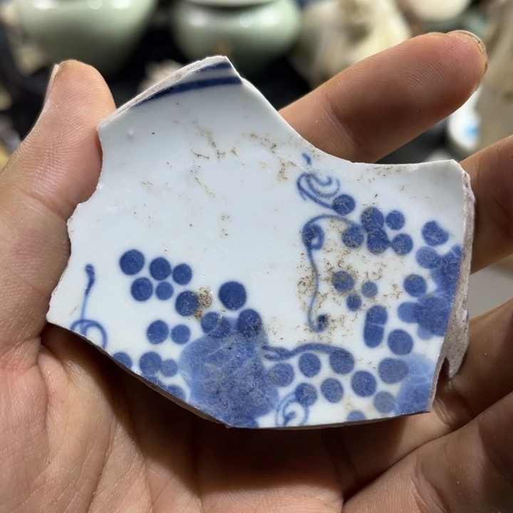 瓷片瓷片学习标本146