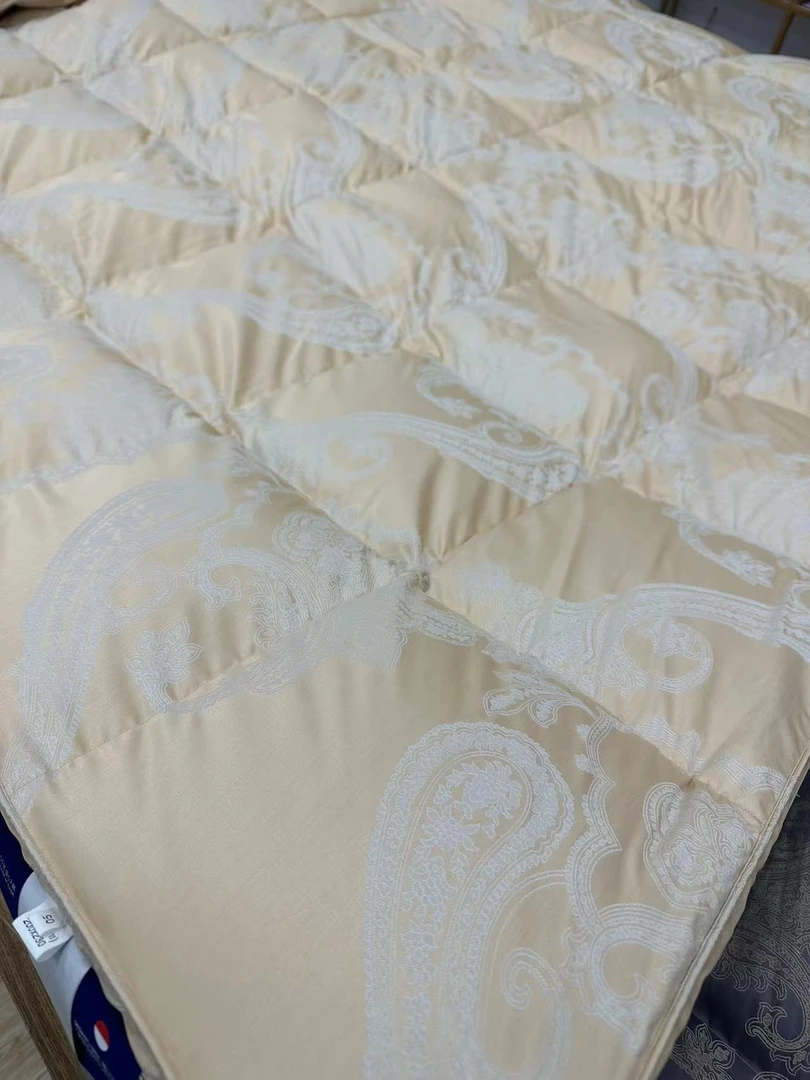 （汣靖）新款加厚-双层-专柜加厚冬被