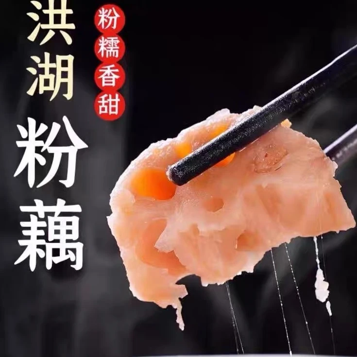 正宗藕粉莲藕新红莲九孔上市产地直发洪湖煲汤糯米赵胖子洪湖莲藕