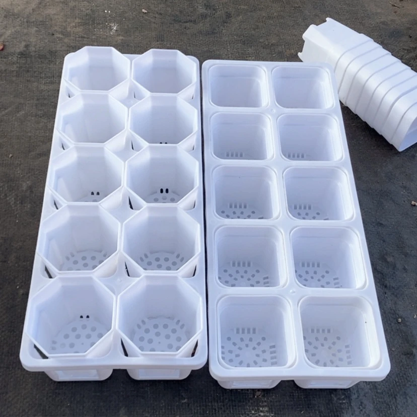 【闪购商品】6.5白方7公分八角各10个含托架