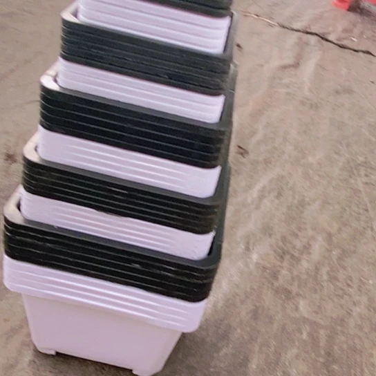 红陶20CM以下黑白50个180160140120100