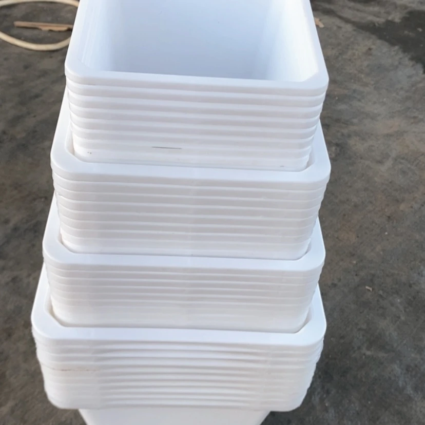 【闪购商品】白方40个12-14-16-18