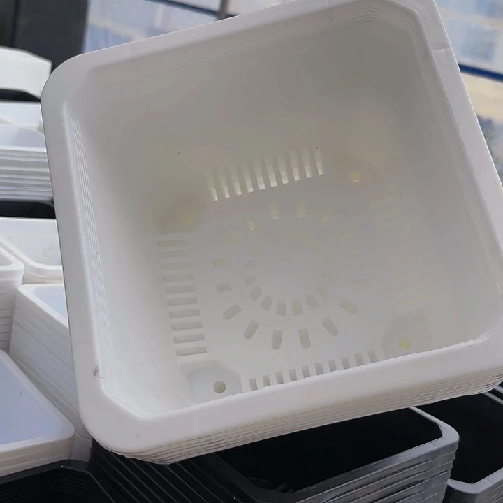 红陶20CM以下220白方盆20公分高14公分3个