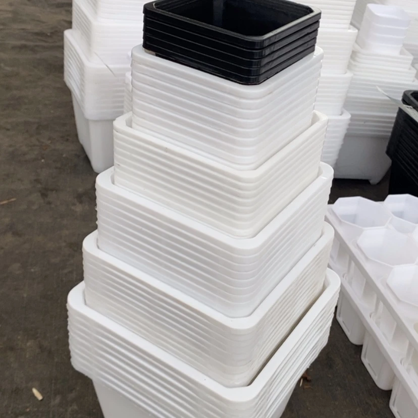 【闪购商品】白组合50个10-12-14-16-18