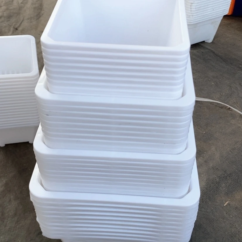 【闪购商品】白方40个12-14-16-18