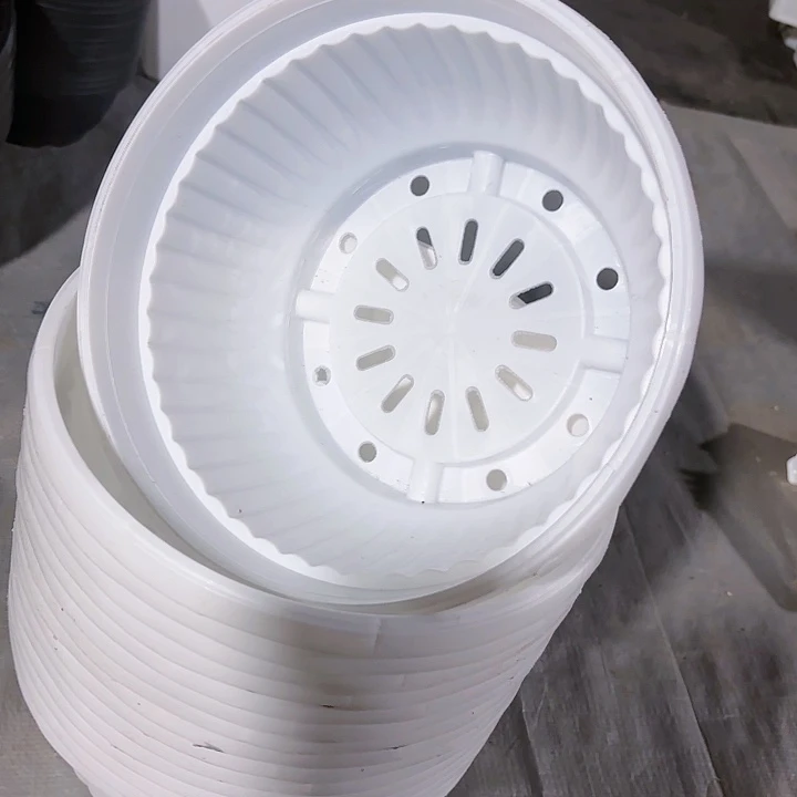 23公分白色聚宝盆6个