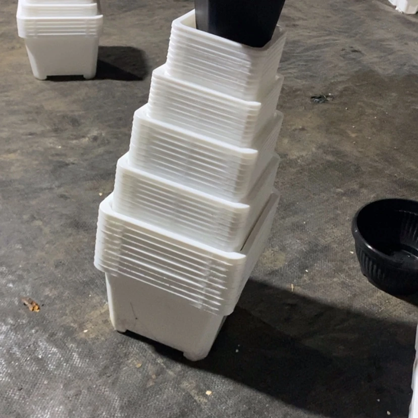 【闪购商品】白组合50个10-12-14-16-18