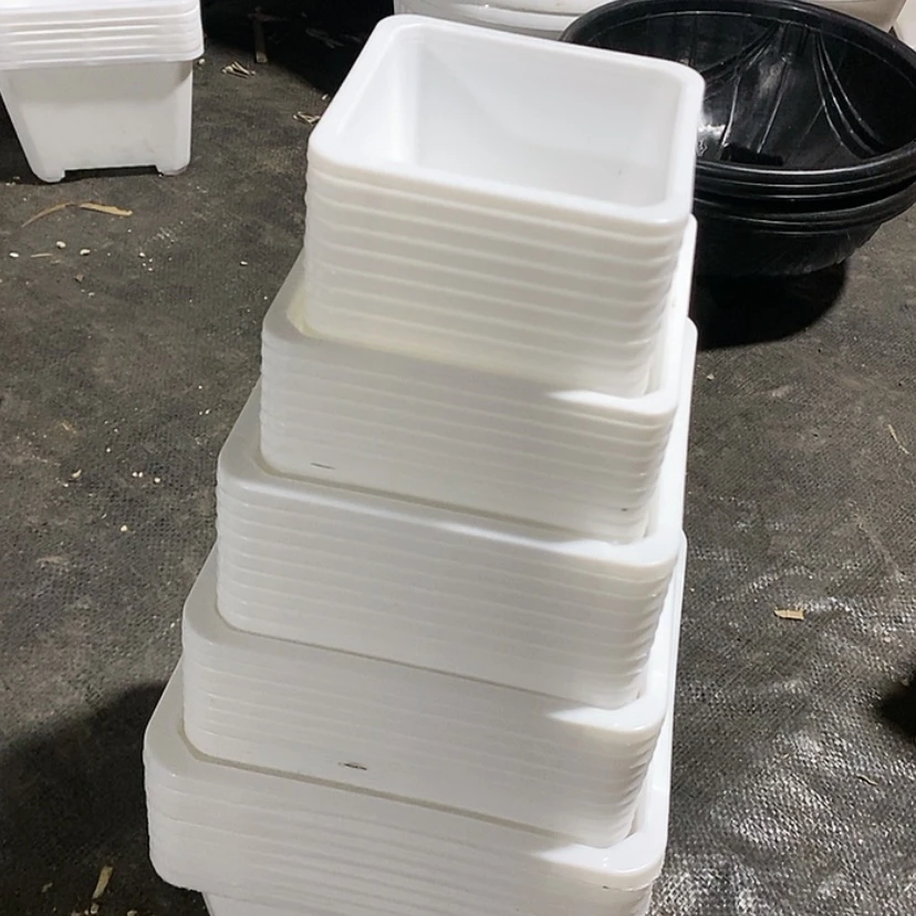 【闪购商品】白方50个10-12-14-16-18