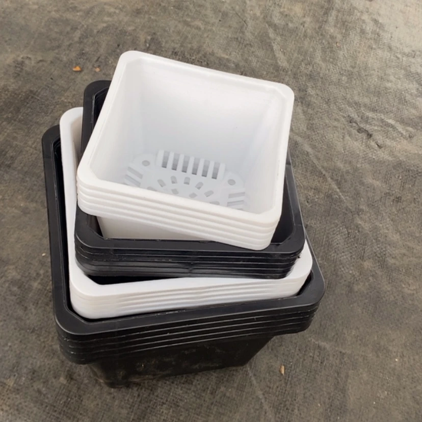 【闪购商品】福利款20个