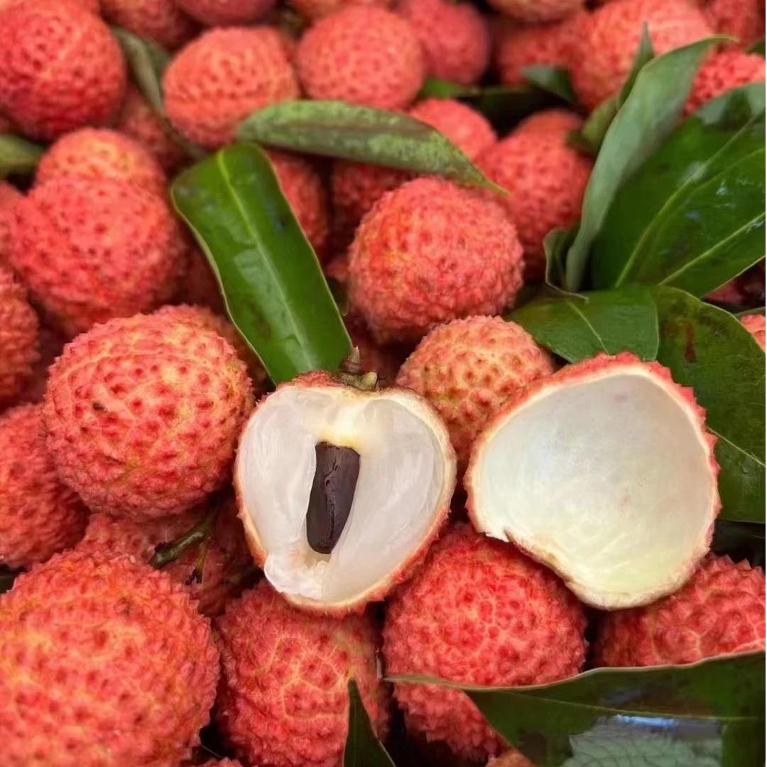 【顺丰空运】增城桂味荔枝新鲜现摘当季高端送礼精品5斤产地次日达