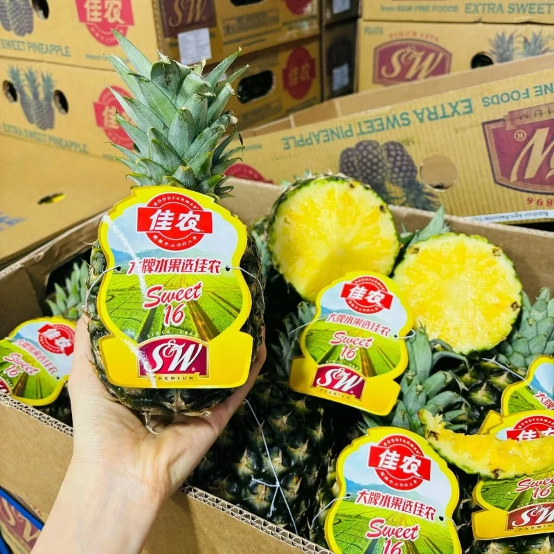 【送货到家】凤梨2个+椰子2个(下单购买丨骑手最快30分钟配送到家)