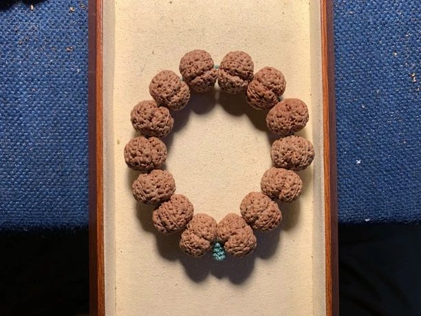 《雪宝出品》龙牙梅花次超头