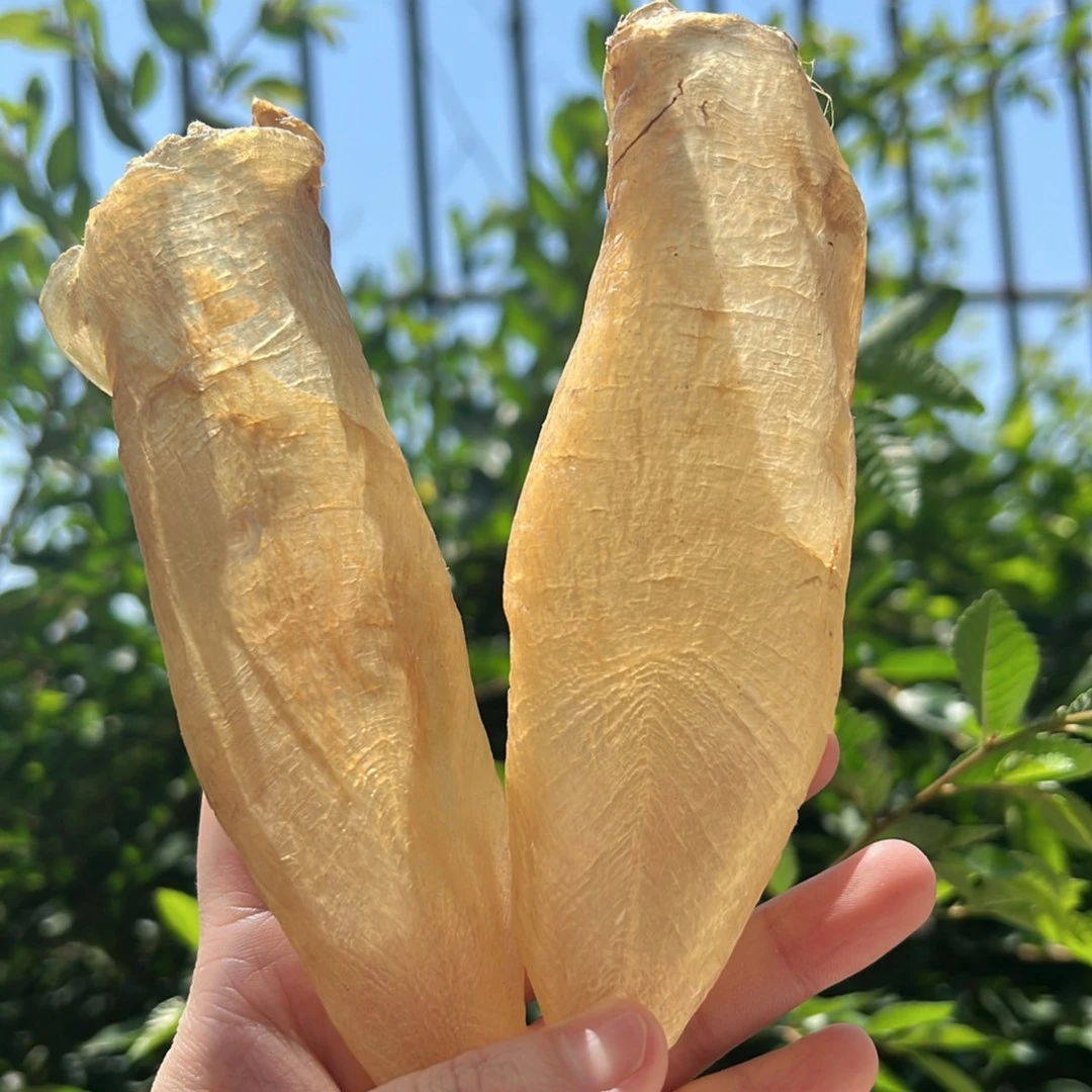 尚膳楼广东蜘蛛母胶1g250g500g