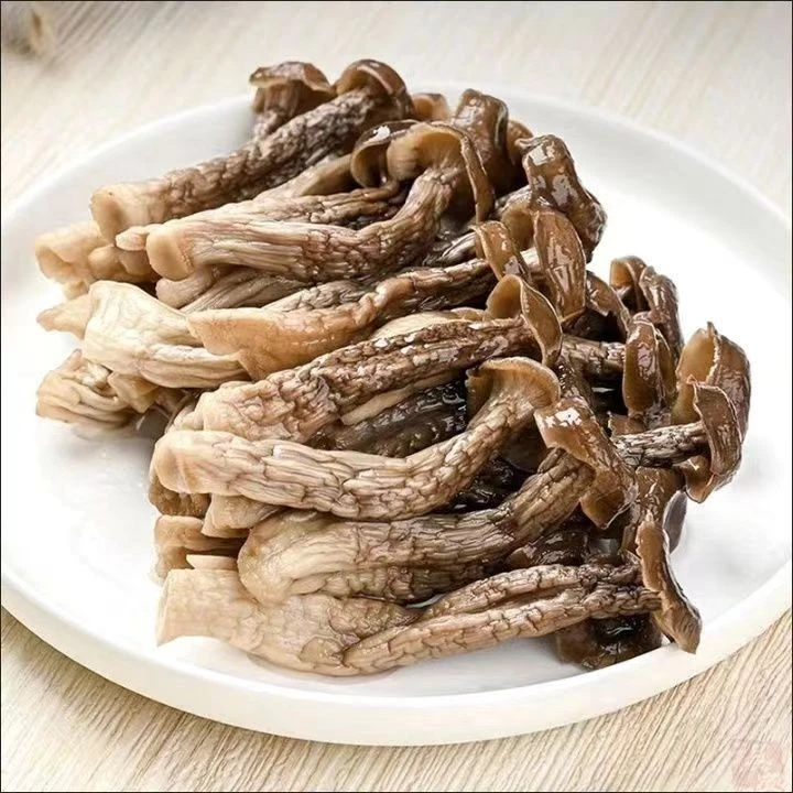 贵州鹿茸菇，香味扑鼻，炖汤，小炒，干锅