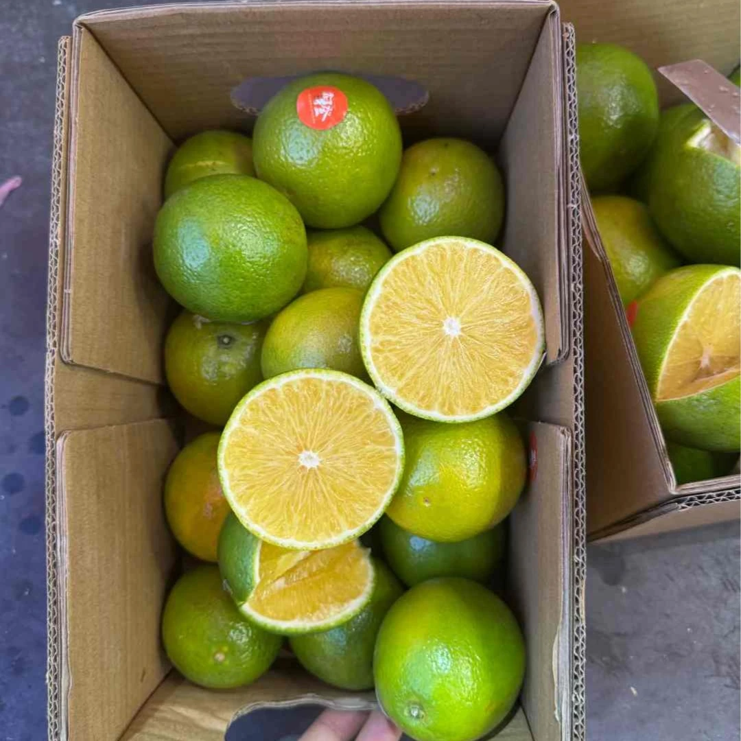 冰糖橙/1箱（纯甜！！！）