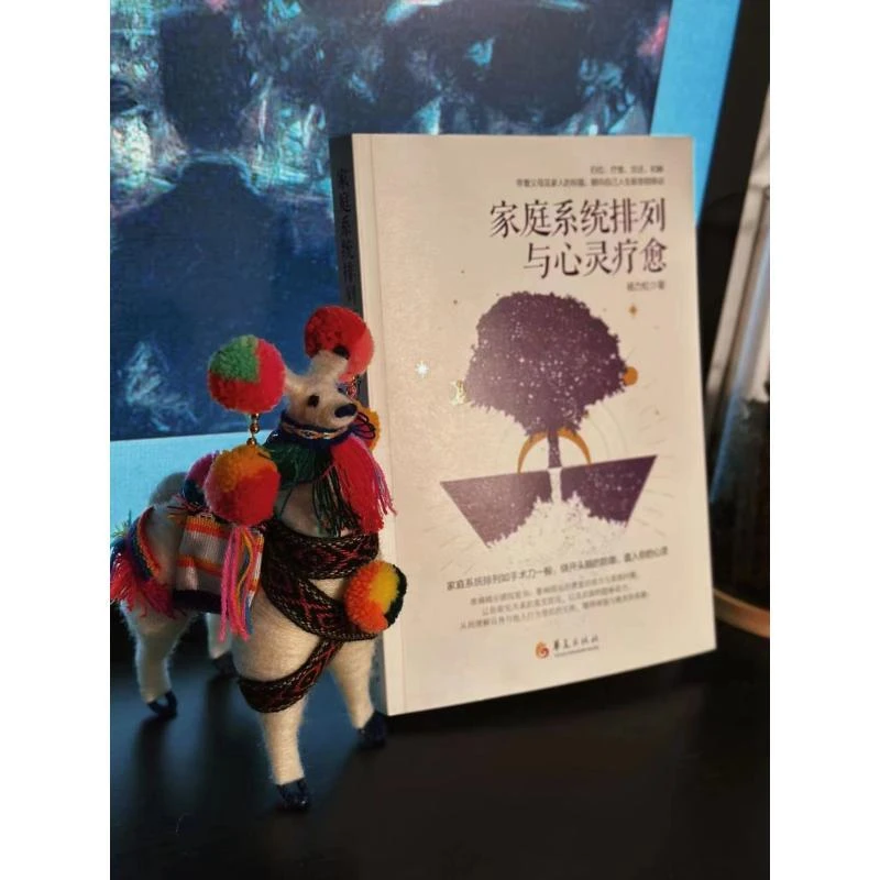 正版《家庭系统排列与心灵疗愈》全新书籍