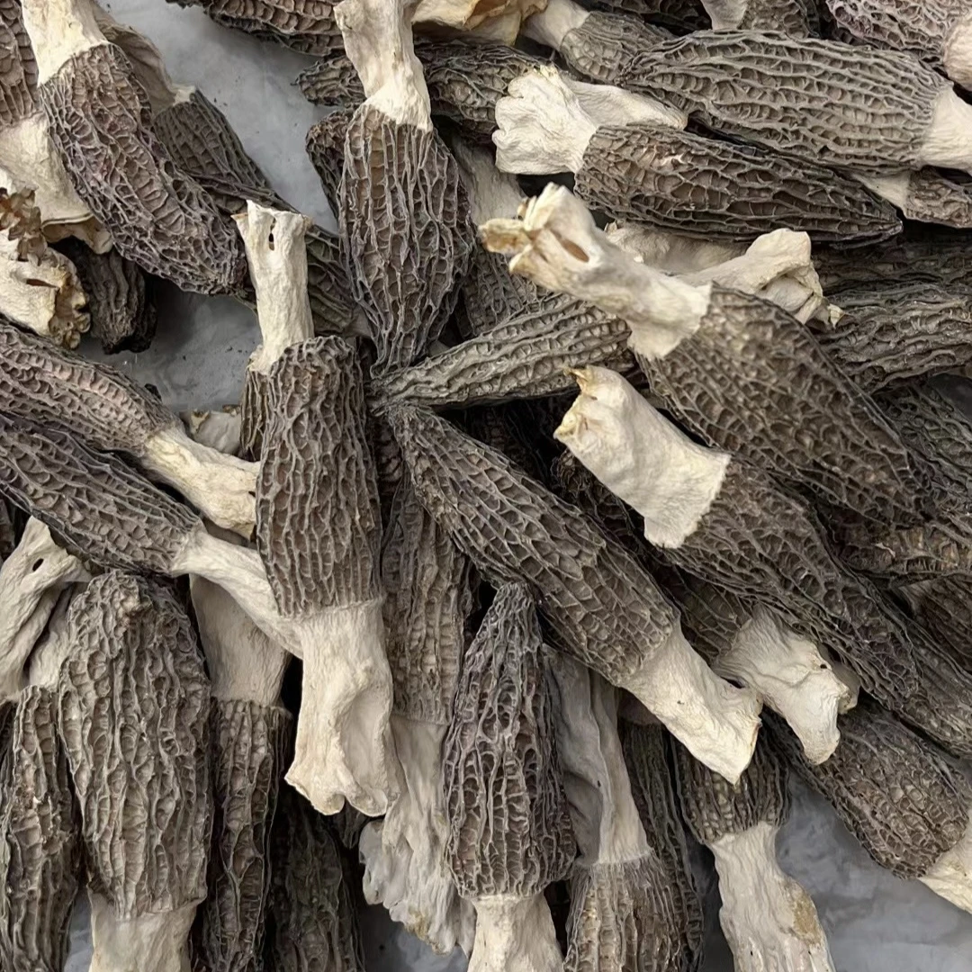 房县半斤鲜土特产房县特产羊肚菌头茬小菇4至5公分50克一包两包包