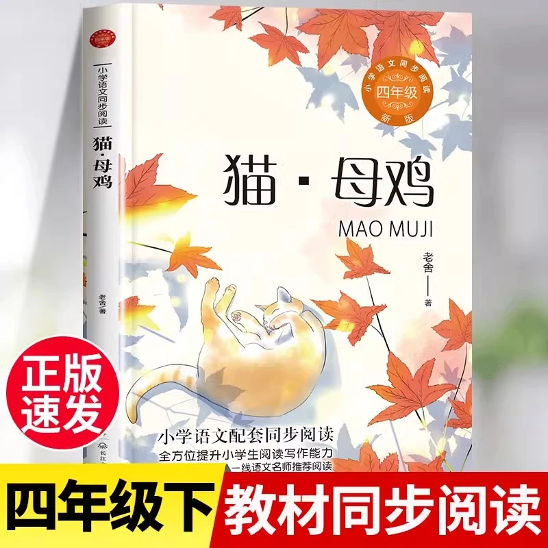 猫母鸡老舍经典作品全集小学生四年级下册课外书五六语文同步阅读