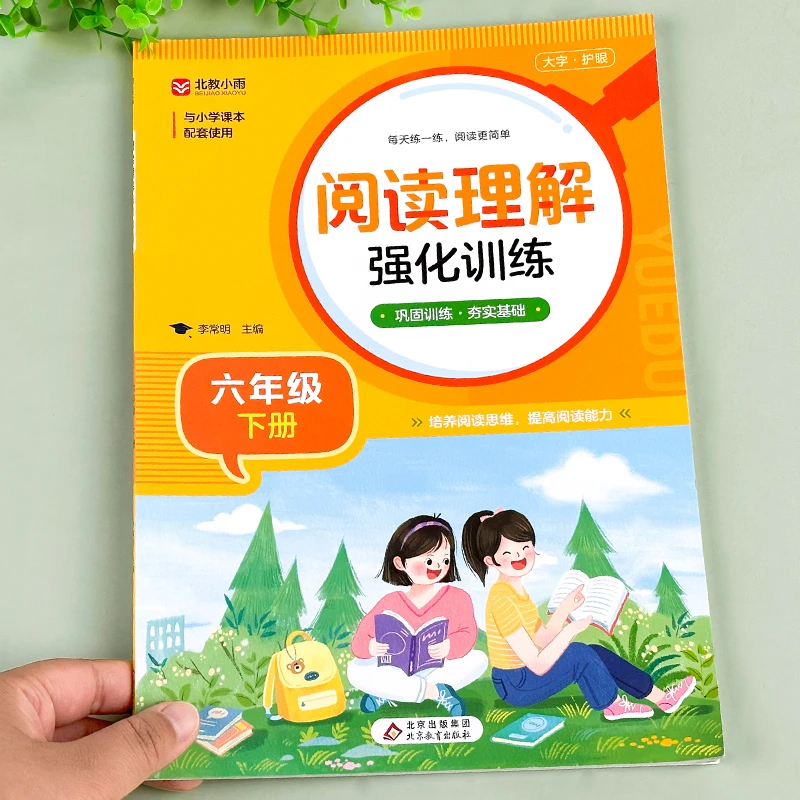六级下册阅读理解专项训练书小学课外训练题人教版语文每日一练