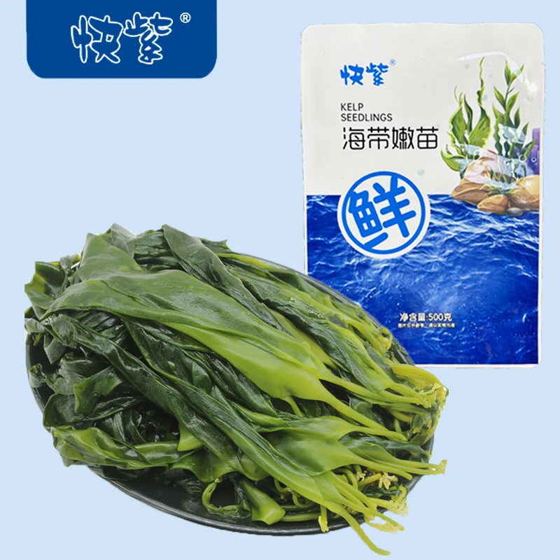 【隆娱优选】福建霞浦头水海带嫩苗脆爽嫩苗新鲜海带苗凉拌火锅500g