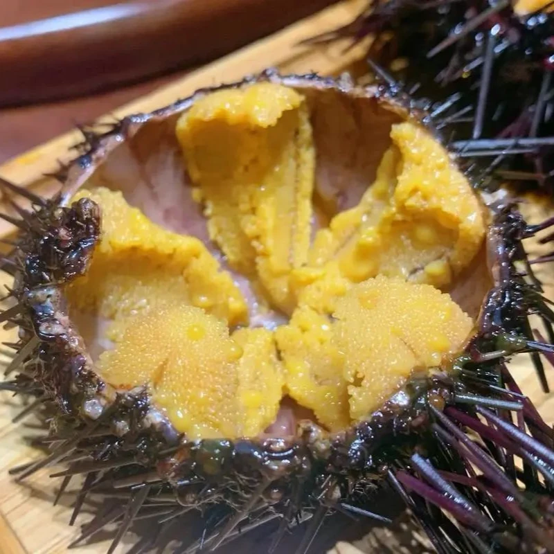 【小百海鲜】大连纯野生紫海胆，两斤起拍，大连市内保鲜保活