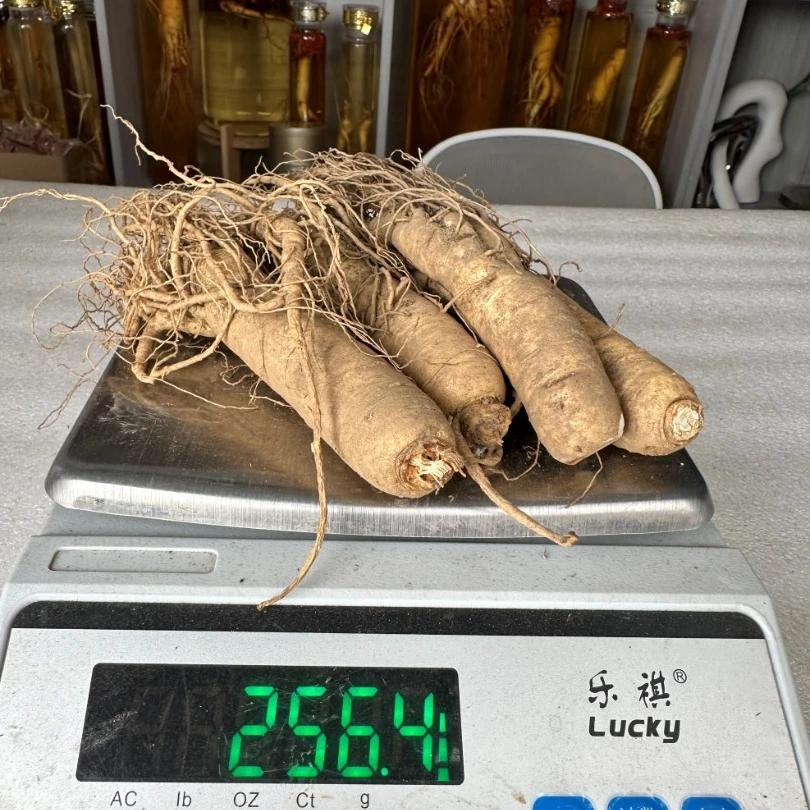 残货人参煲汤/泡水/泡酒（介意勿拍）