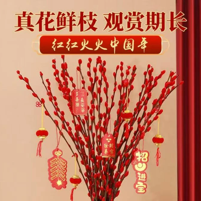 【银柳45厘米】年宵花桌面装饰花束室内绿植物银柳干枝水养插花