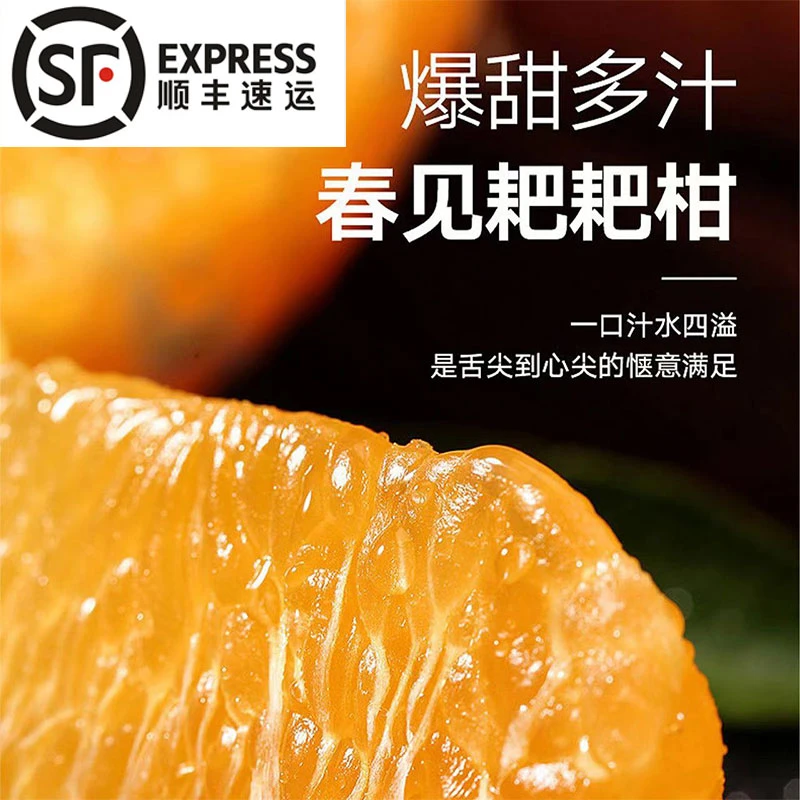 【阿飞专属顺丰发货】正宗四川春见耙耙柑整箱丑八怪橘子甜桔子
