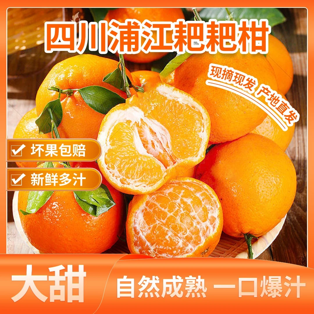 【寒冷地区保温箱发货甄果专属】正宗四川春见耙耙柑整箱丑八怪
