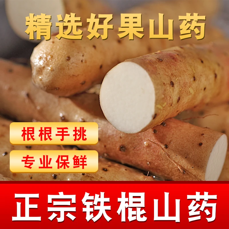 新鲜现发软糯香甜铁棍山药产地直发秋冬好物80cm长5斤
