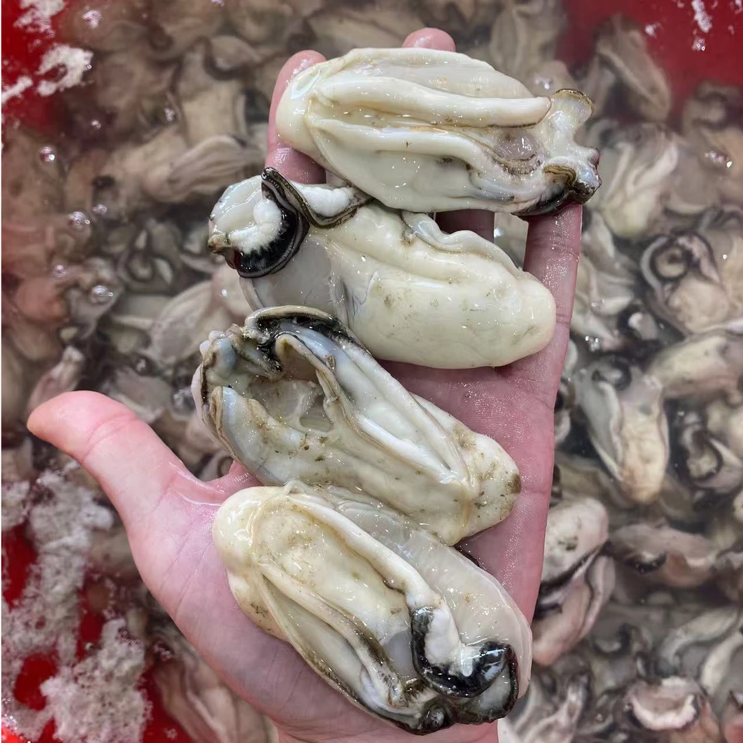 台山生蚝 中蚝 鲜脆无渣 15-17只/罐