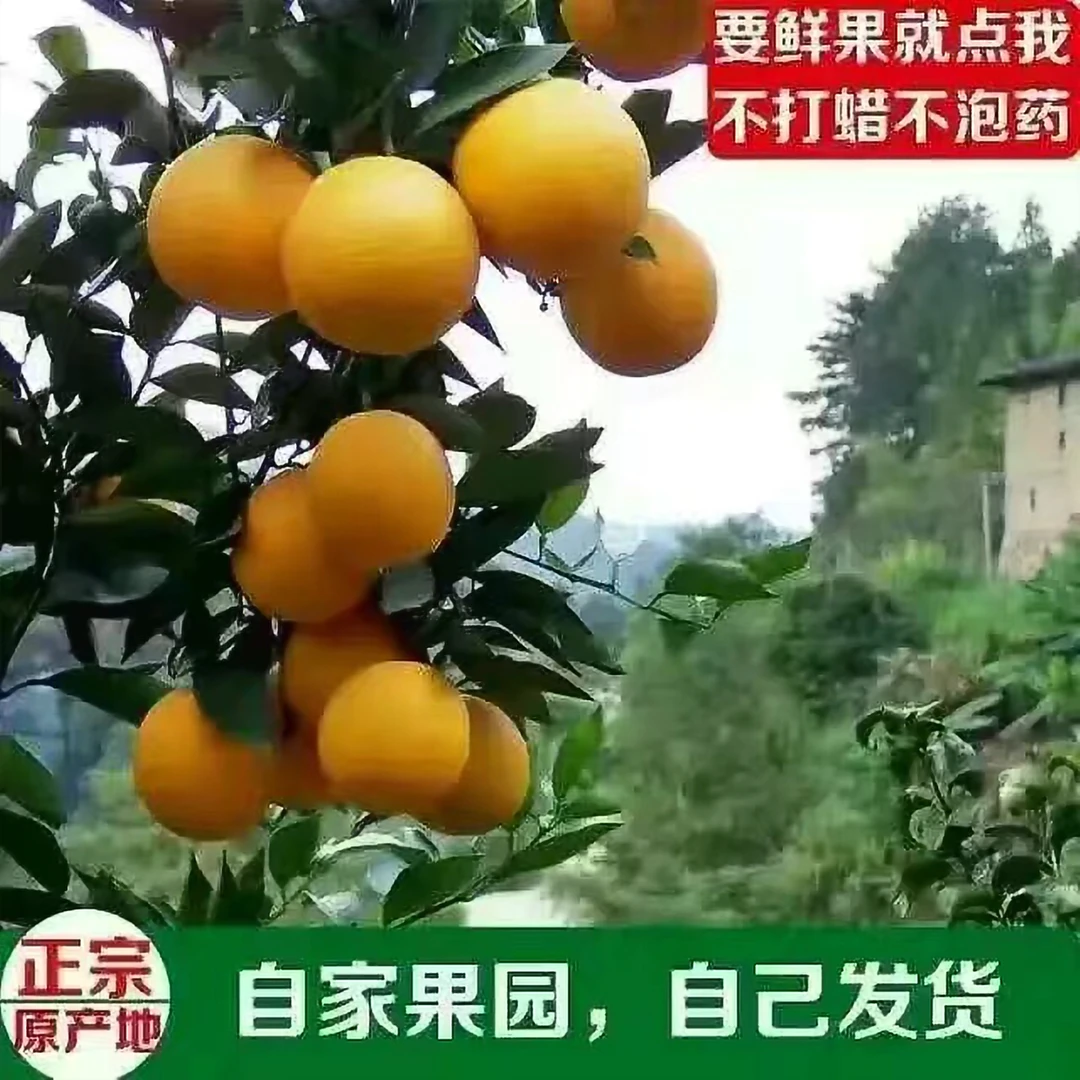 江西赣南寻乌脐橙新鲜橙子当季水果整箱手剥甜橙