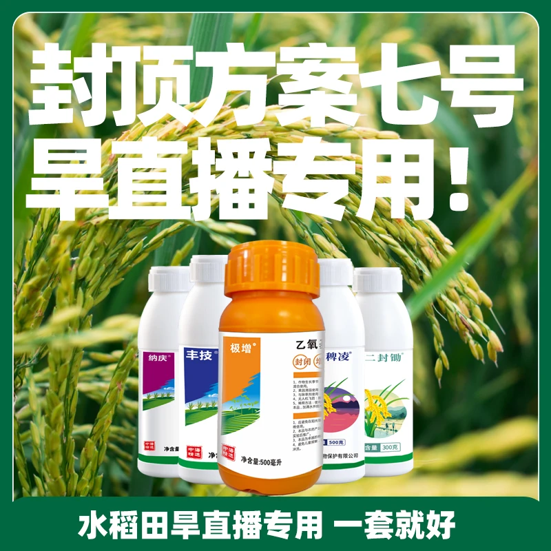 封顶方案七号水稻旱直播专用方便使用