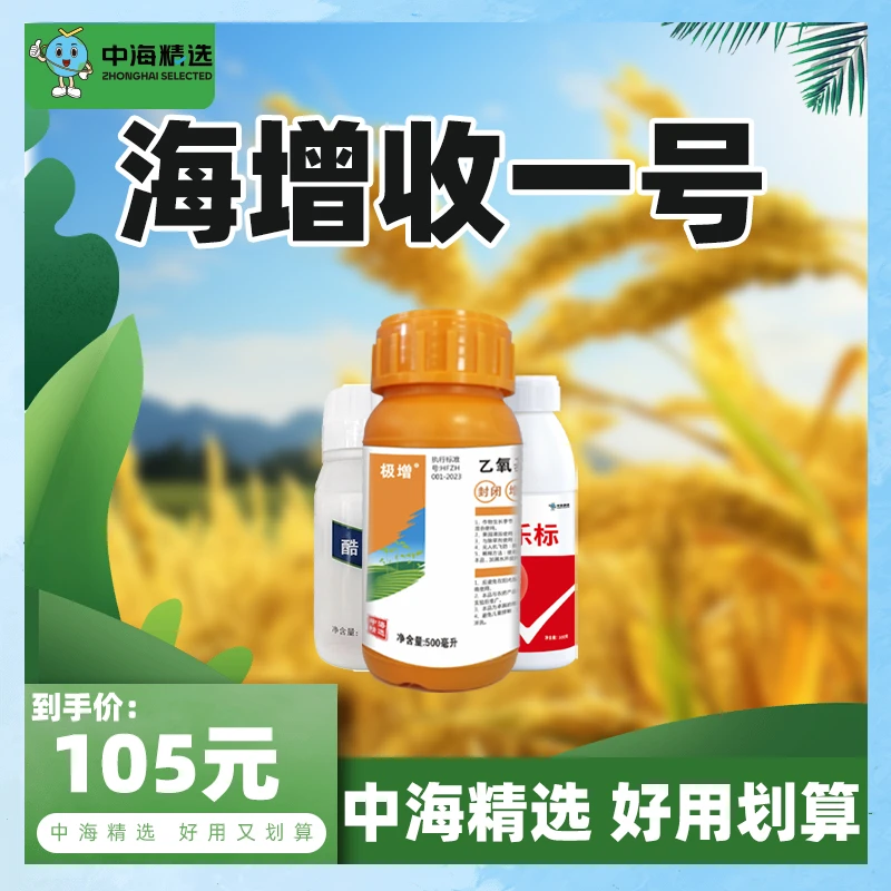 水稻海增收一号稻飞虱蚜虫解决方案一组十亩效果好