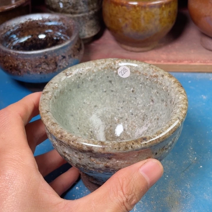 茶宠盏盏的灯在我心中永远都