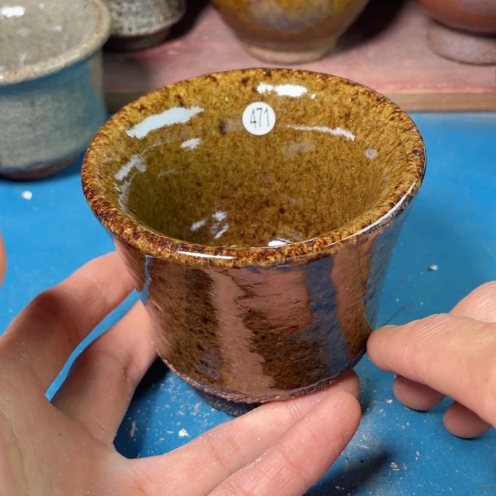 茶宠盏盏的灯在我的脑海里闪