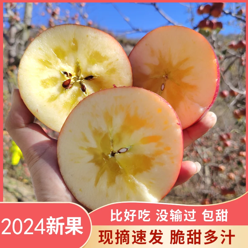 【雪域翱龙】汉源冰糖心苹果新鲜脆甜多汁当季水果