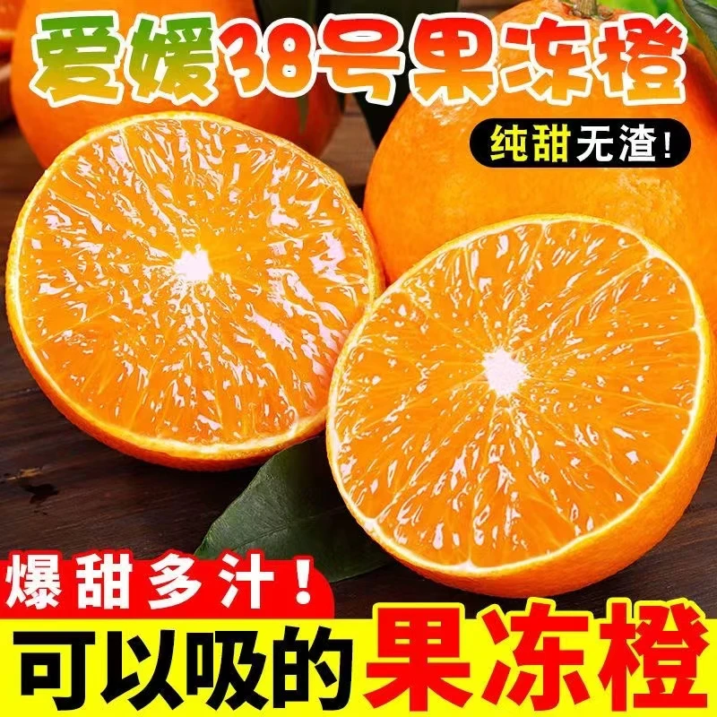 四川爱媛38号果冻橙新鲜当季水果 8枚/4.5斤装 8甜2酸 皮薄多汁