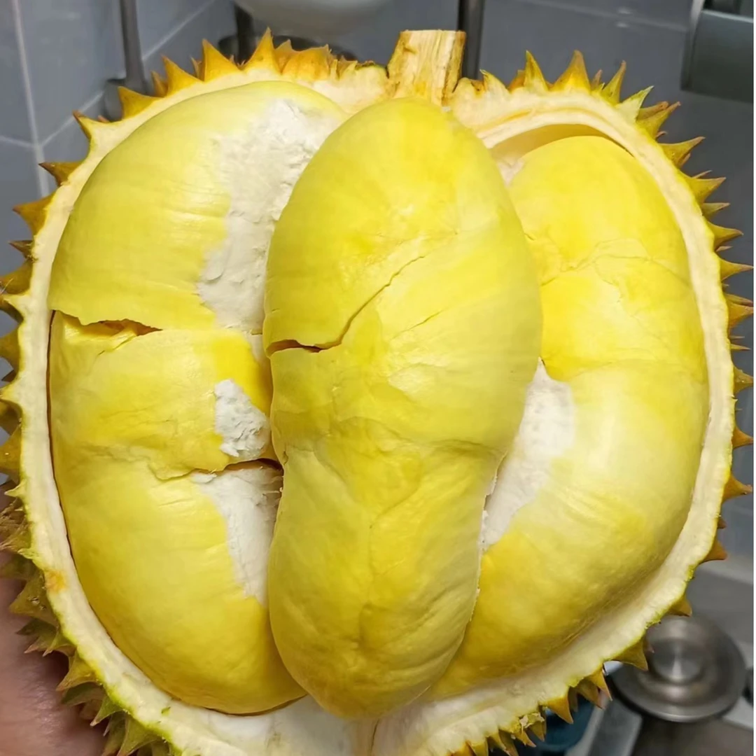 【买一送一】泰国手选金枕榴莲