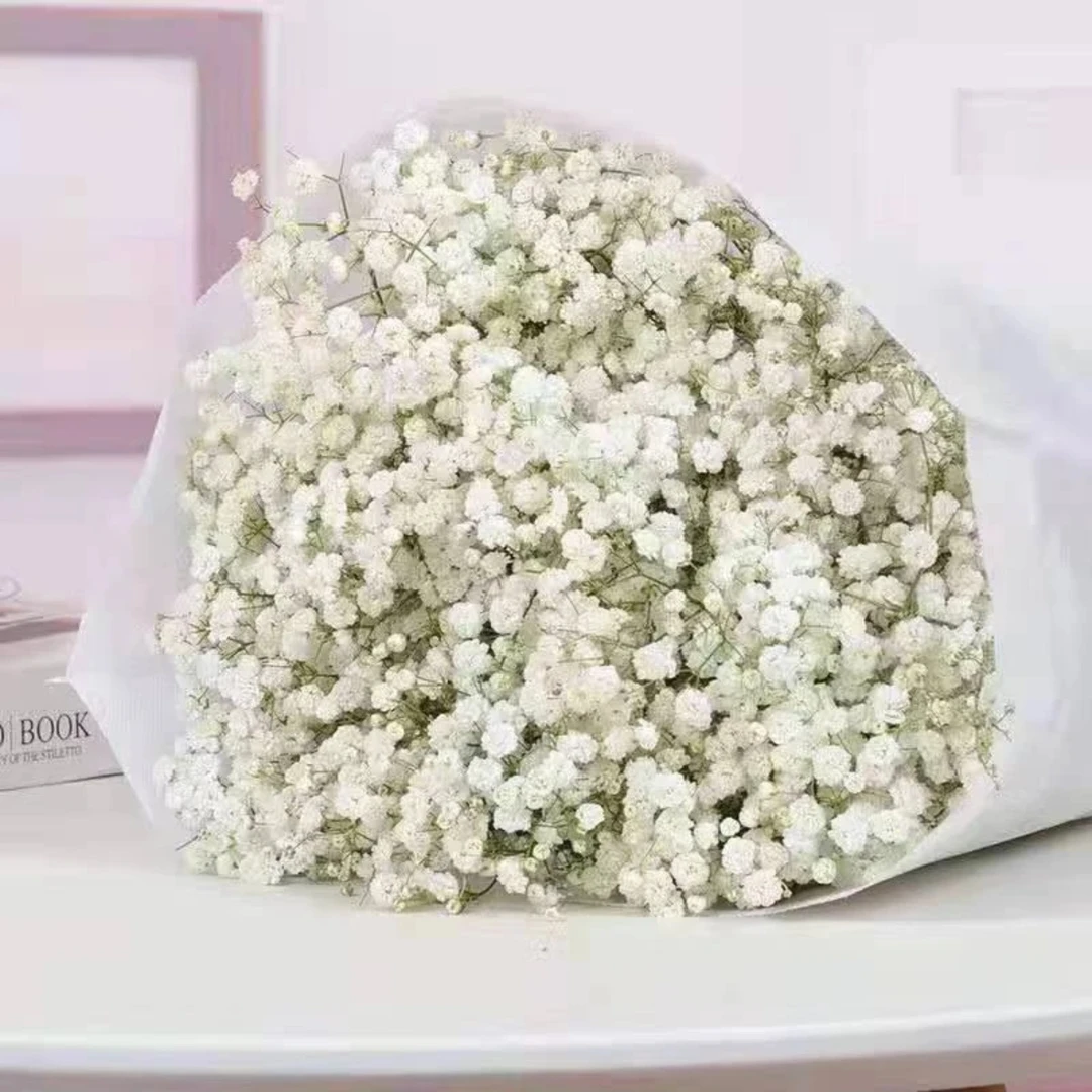 白色满天星玫瑰现采（一单中通不售后两单空运包售后）