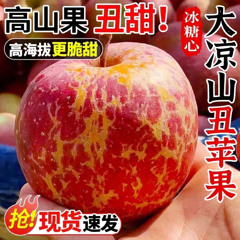 大凉山冰糖心丑苹果2024新鲜苹果 4.5斤装大果红富士脆甜多汁水果