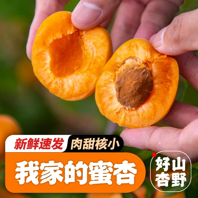 四川大凉山高山蜜杏3/4斤礼盒装当季新鲜大黄杏香甜精选果大杏子