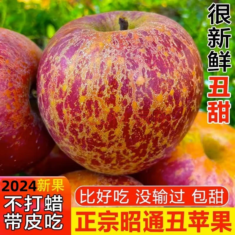 昭通苹果正宗云南昭通冰糖心红富士丑苹果新鲜当季现摘现发水果