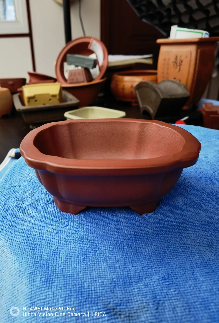 M21花瓣小长方，红泥紫砂花盆掌中宝，外口径11.5*9.5*5cm