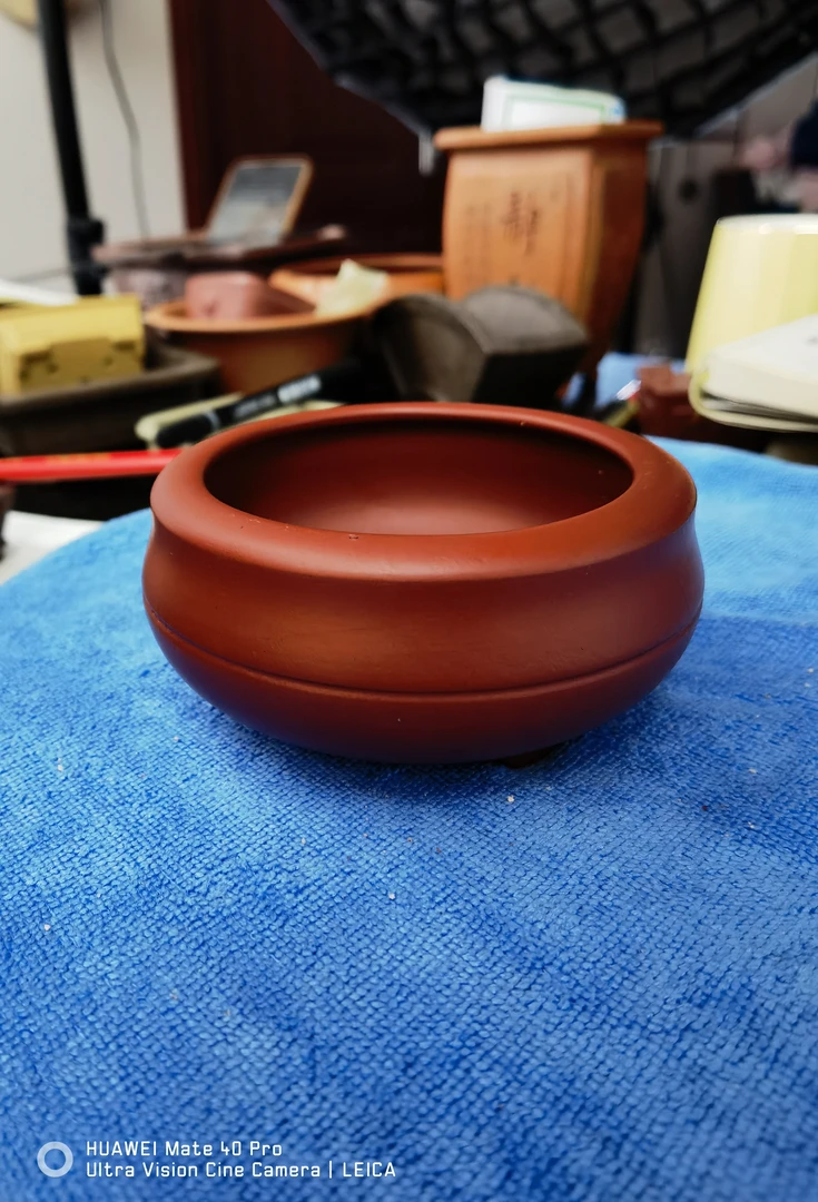 M23大红袍佛度款，带腰线，紫砂花盆外口径9*4.5cm