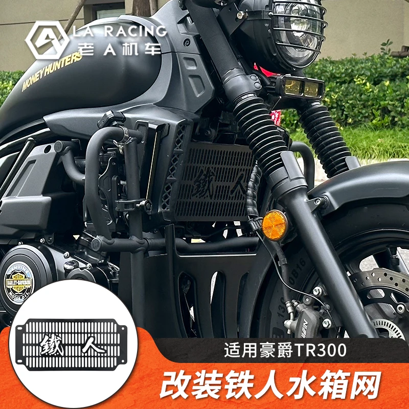 {阿大专属}适用豪爵TR300摩托车改装不锈钢水箱网水箱护网护板
