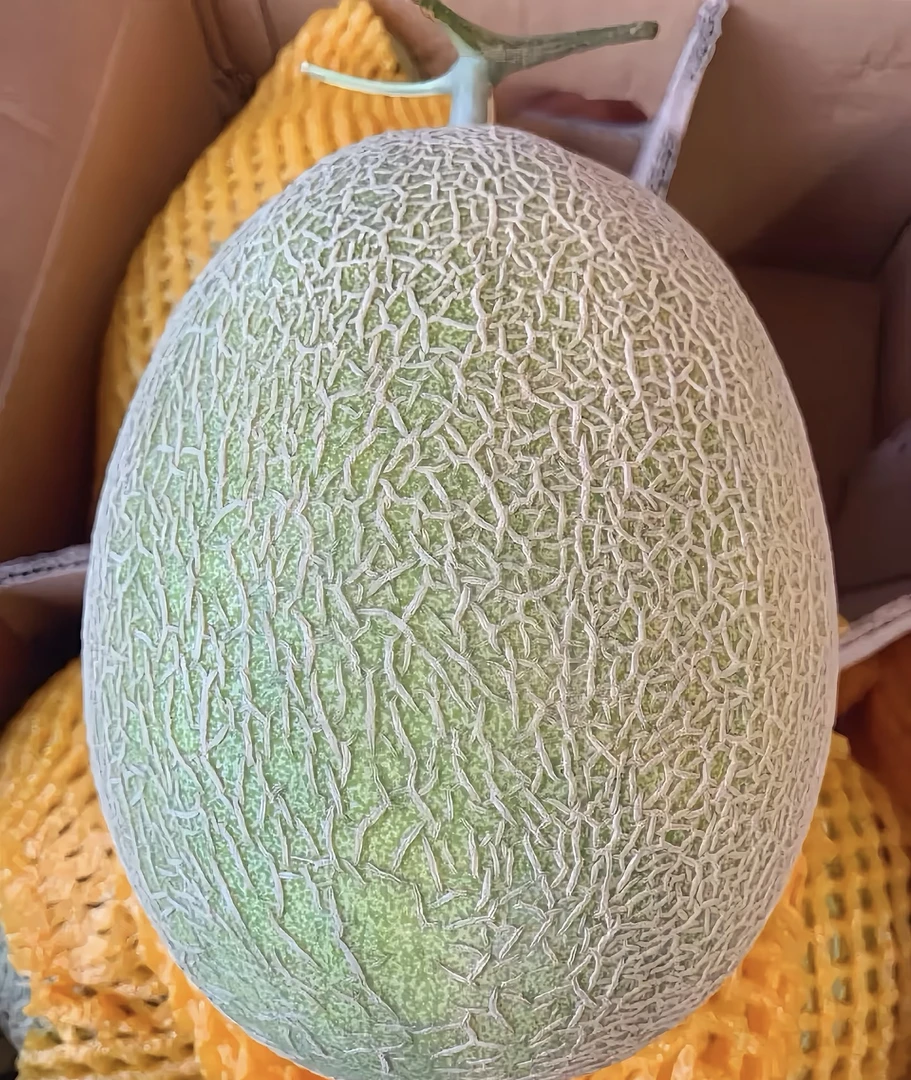 哈密瓜约500克默认去皮