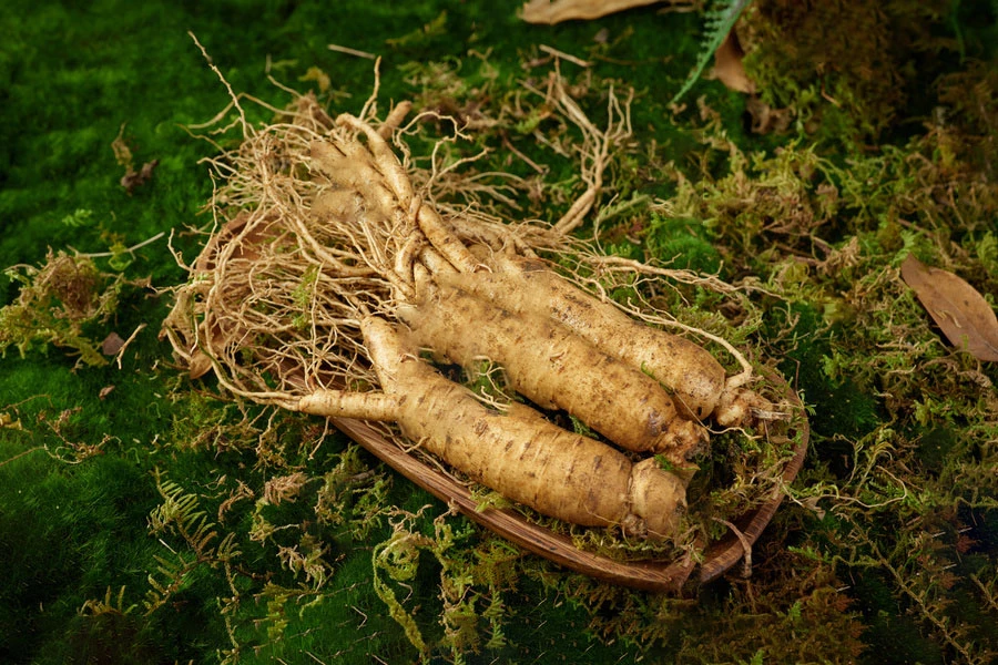 长白山小于 人参直播    10克起